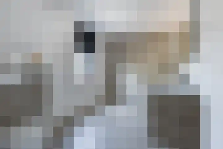 Karekietstraat 6 Heerhugowaard thumbnail 25