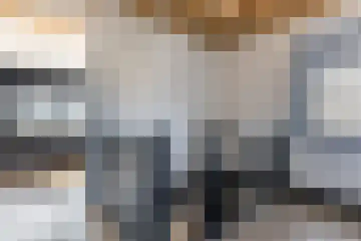 Karekietstraat 6 Heerhugowaard thumbnail 30