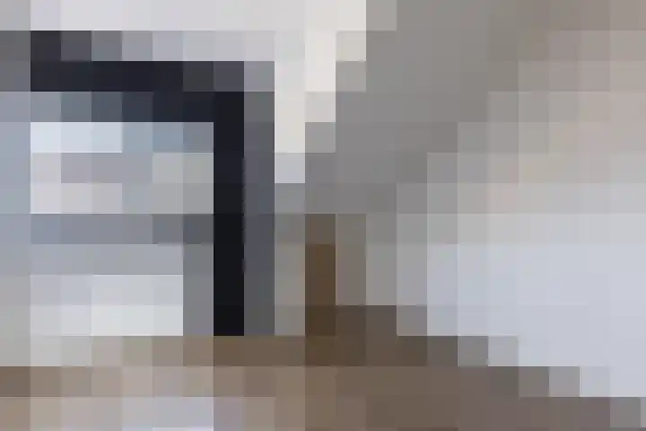 Karekietstraat 6 Heerhugowaard thumbnail 32