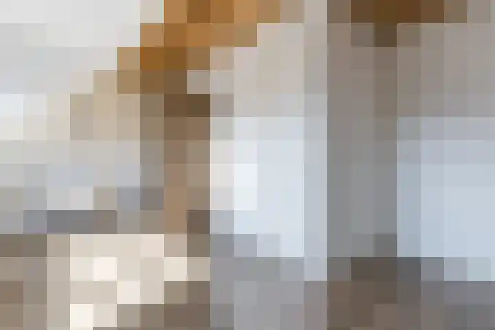 Karekietstraat 6 Heerhugowaard thumbnail 33