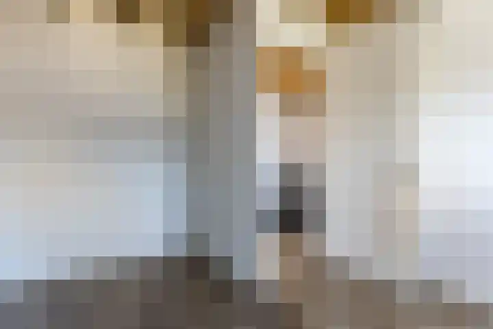 Karekietstraat 6 Heerhugowaard thumbnail 34
