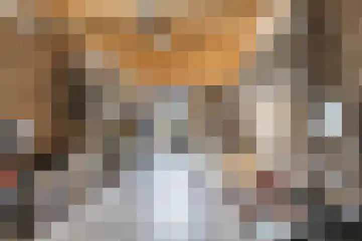 Karekietstraat 6 Heerhugowaard thumbnail 36