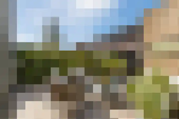 Karekietstraat 6 Heerhugowaard thumbnail 39