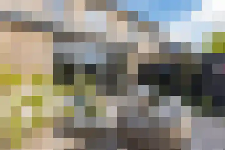 Karekietstraat 6 Heerhugowaard thumbnail 40