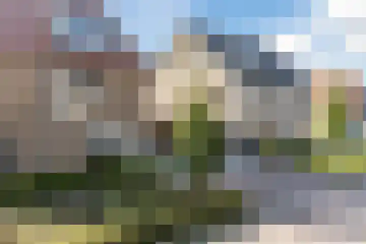 Karekietstraat 6 Heerhugowaard thumbnail 48
