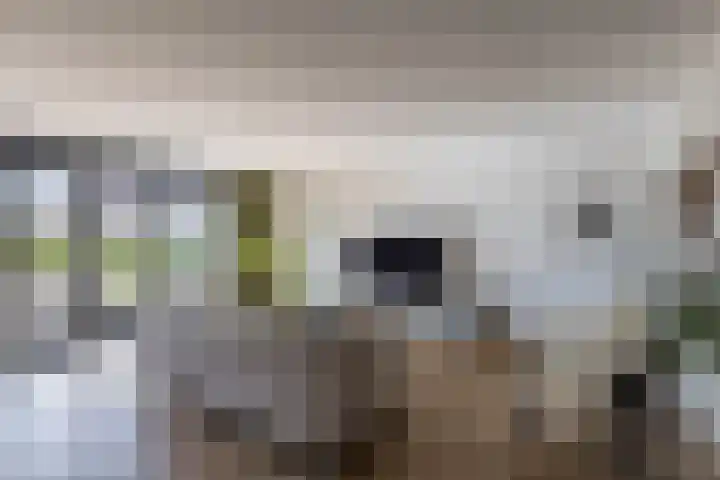 Karekietstraat 6 Heerhugowaard thumbnail 6