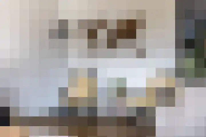 Karekietstraat 6 Heerhugowaard thumbnail 7