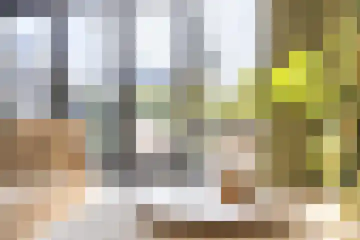 Karekietstraat 6 Heerhugowaard thumbnail 8