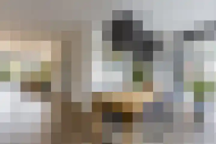 Karekietstraat 6 Heerhugowaard thumbnail 9