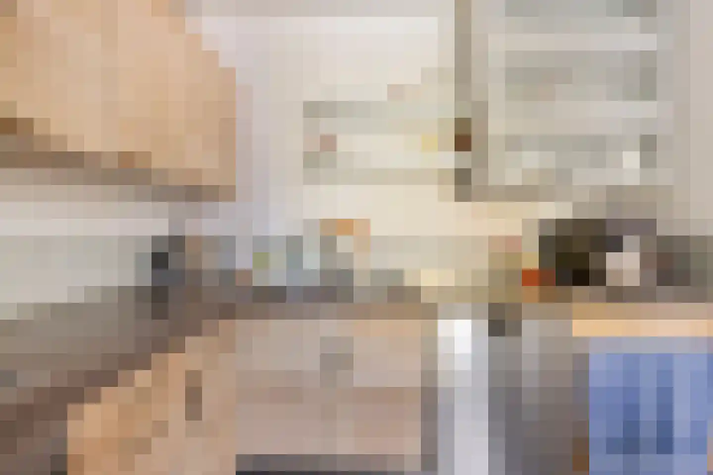Karekietstraat 6 Stolwijk thumbnail 11
