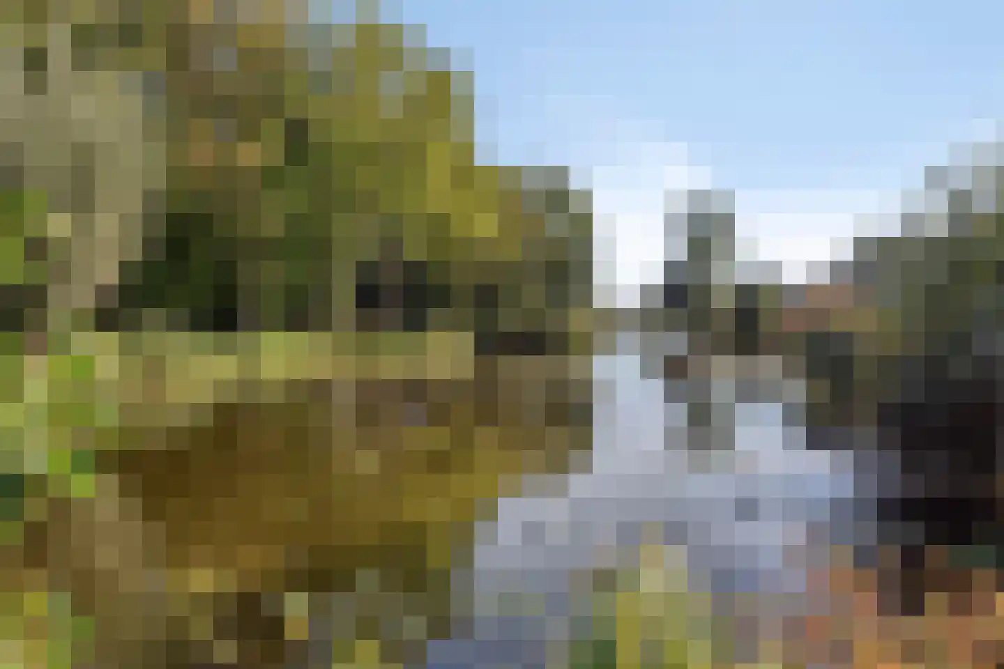 Karekietstraat 6 Stolwijk thumbnail 29
