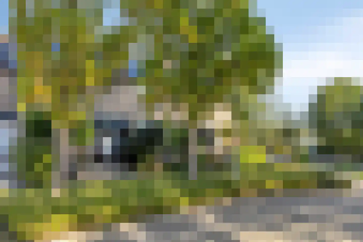 Karekietstraat 6 Stolwijk thumbnail 30