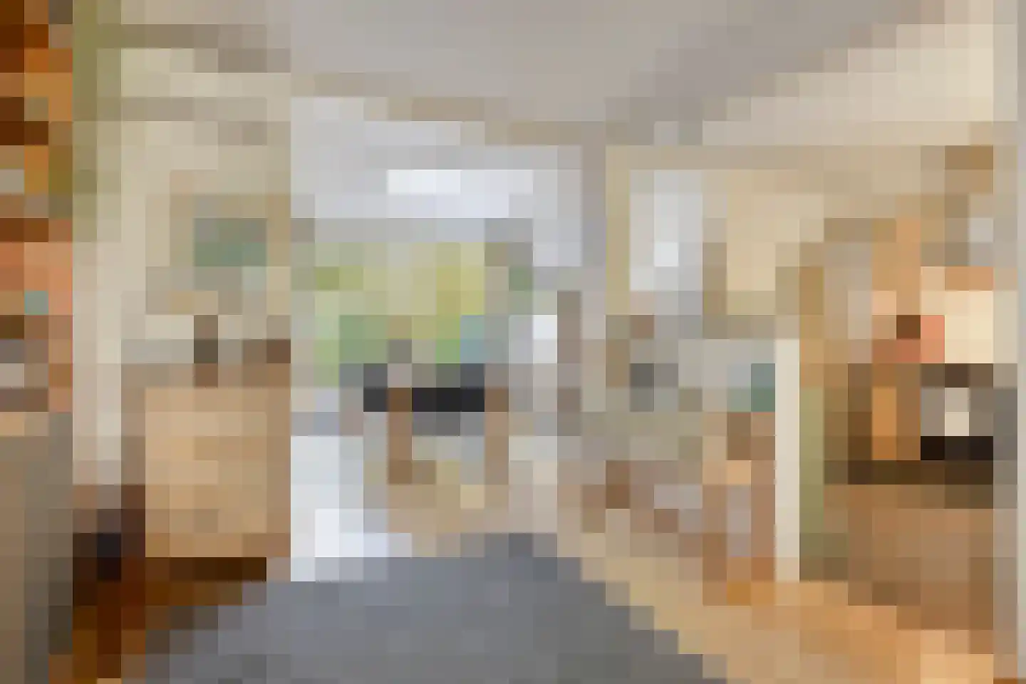 Karekietstraat 6 Stolwijk thumbnail 7