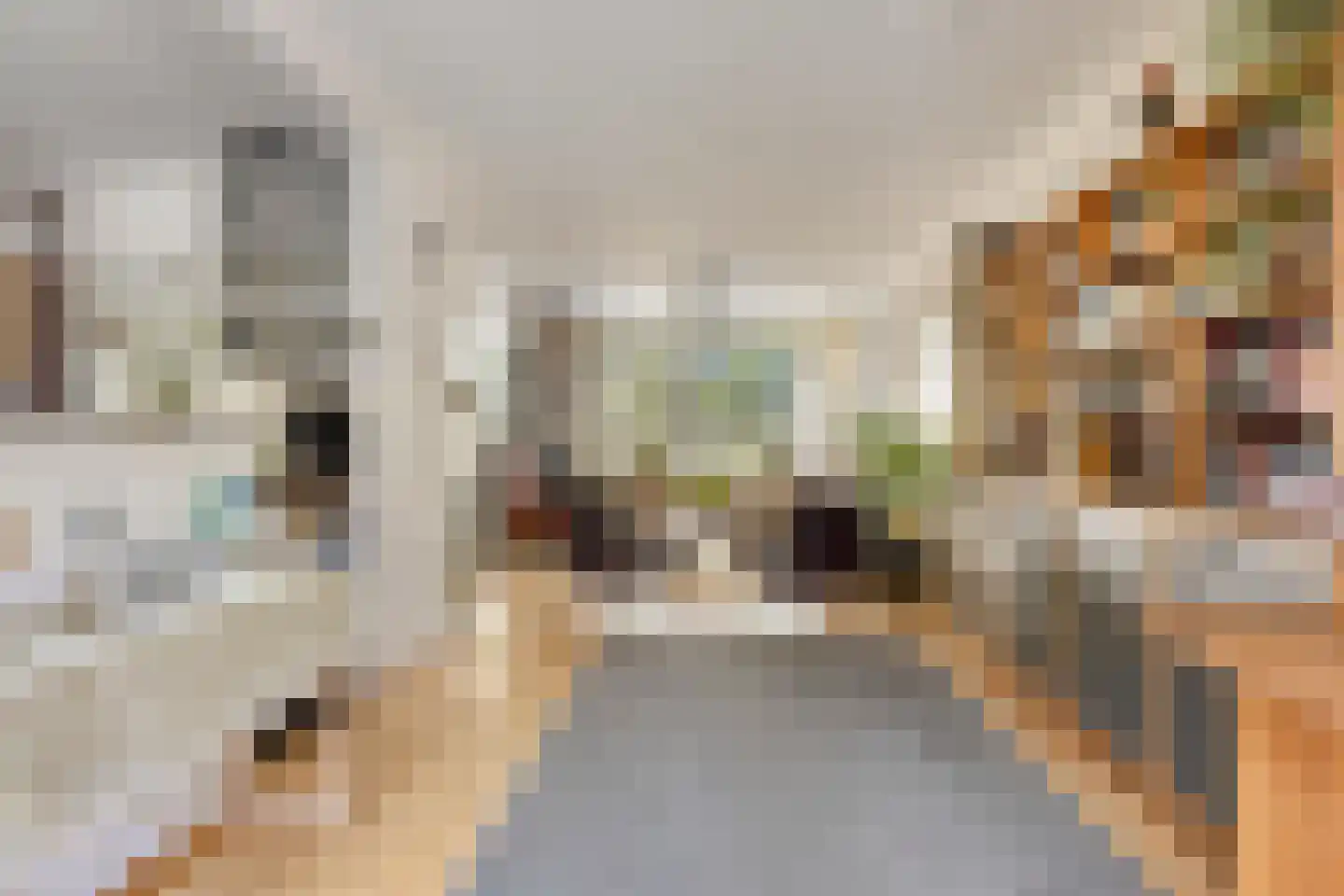 Karekietstraat 6 Stolwijk thumbnail 8