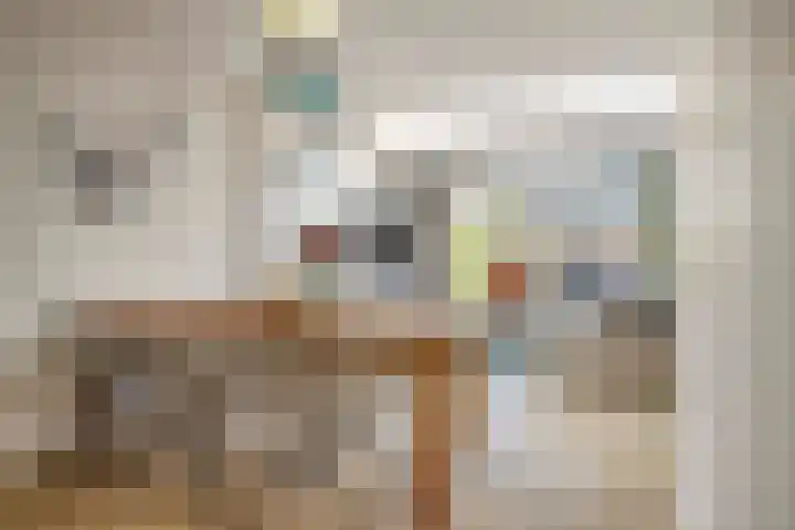 Karekietstraat 72 Gouda thumbnail 6
