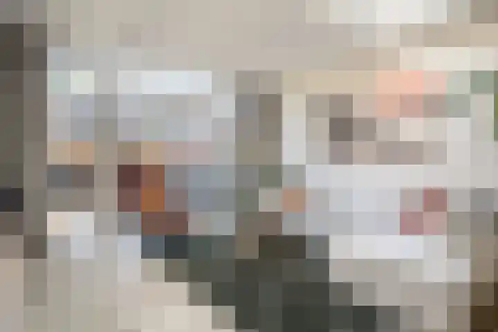 Karekietstraat 72 Gouda thumbnail 8