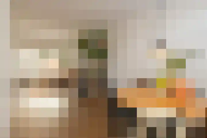 Karekietstraat 76 Gouda thumbnail 22