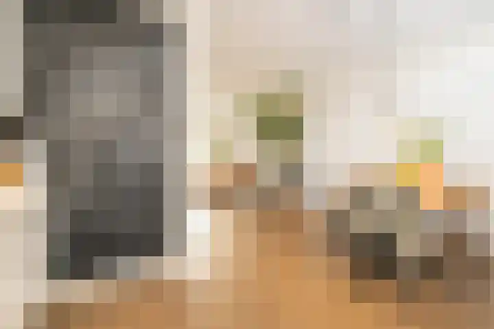 Karekietstraat 76 Gouda thumbnail 32