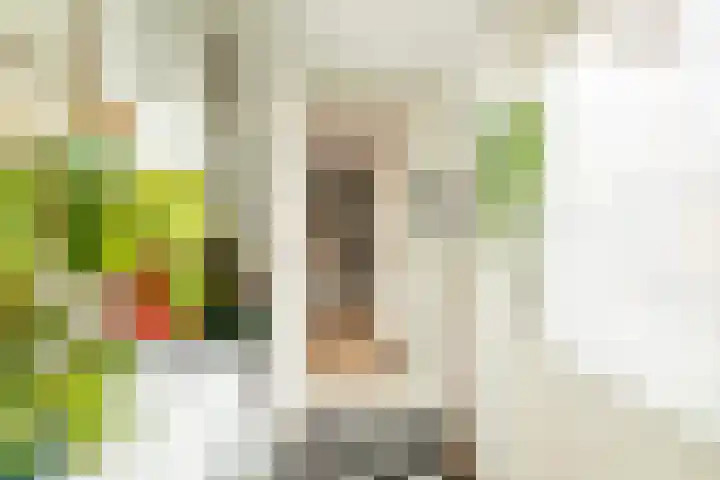 Karekietstraat 76 Gouda thumbnail 36