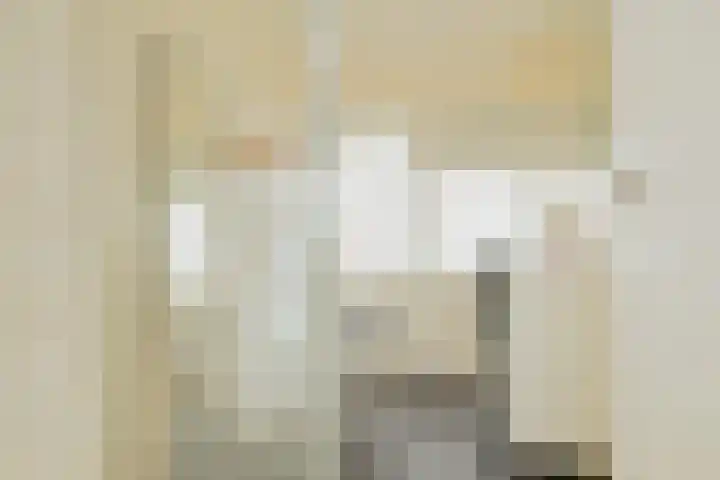 Karekietstraat 76 Gouda thumbnail 4