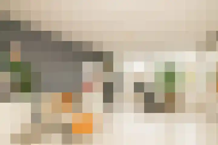 Karekietstraat 76 Gouda thumbnail 52