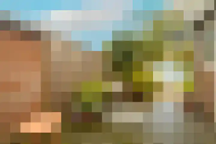 Karekietstraat 76 Gouda thumbnail 6