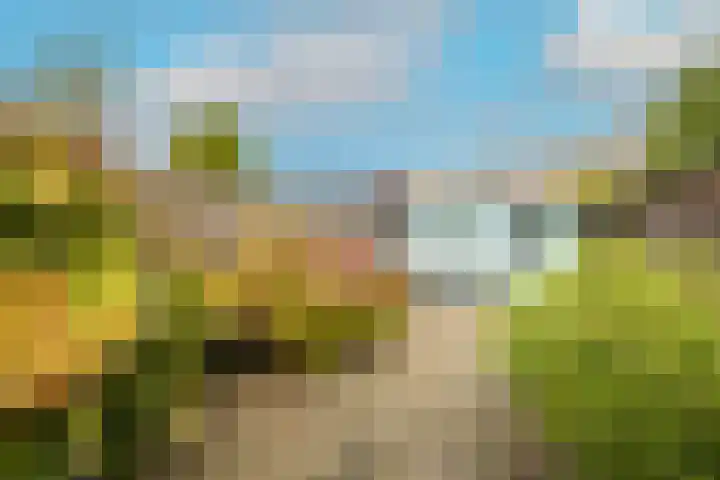 Karekietstraat 76 Gouda thumbnail 61