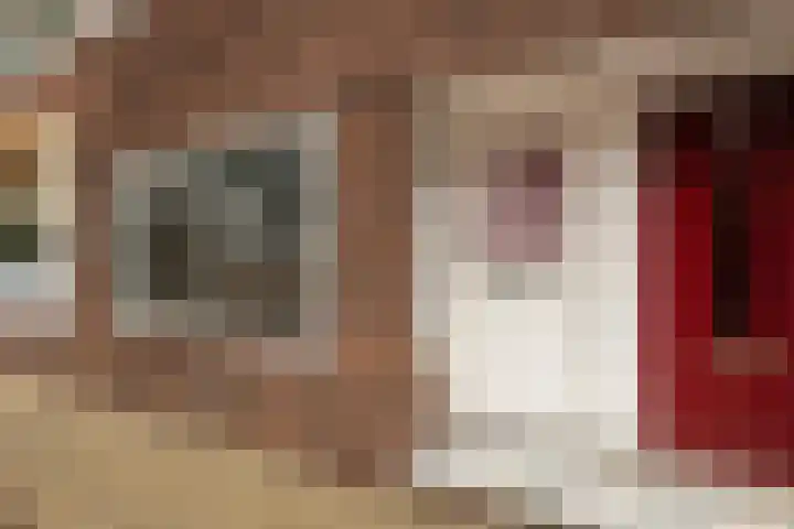 Karekietstraat 76 Gouda thumbnail 7