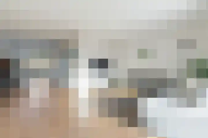 Karekietstraat 8 Heerhugowaard thumbnail 10