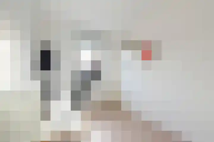Karekietstraat 8 Heerhugowaard thumbnail 17