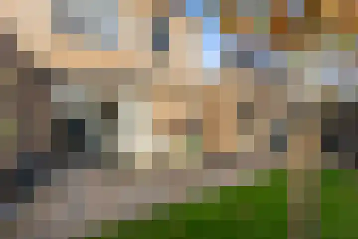 Karekietstraat 8 Heerhugowaard thumbnail 25