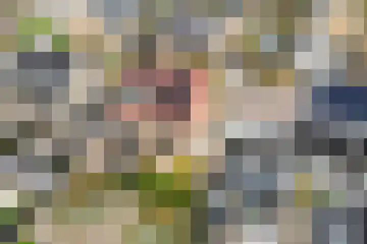 Karekietstraat 8 Heerhugowaard thumbnail 32