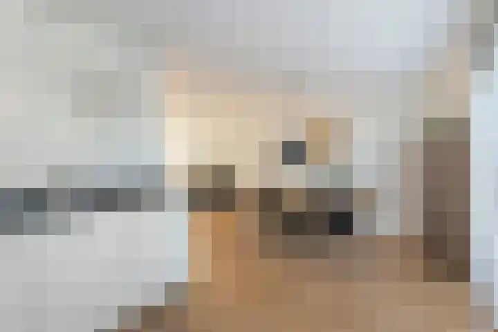 Karekietstraat 8 Heerhugowaard thumbnail 5