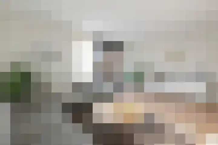 Karekietstraat 8 Heerhugowaard thumbnail 8