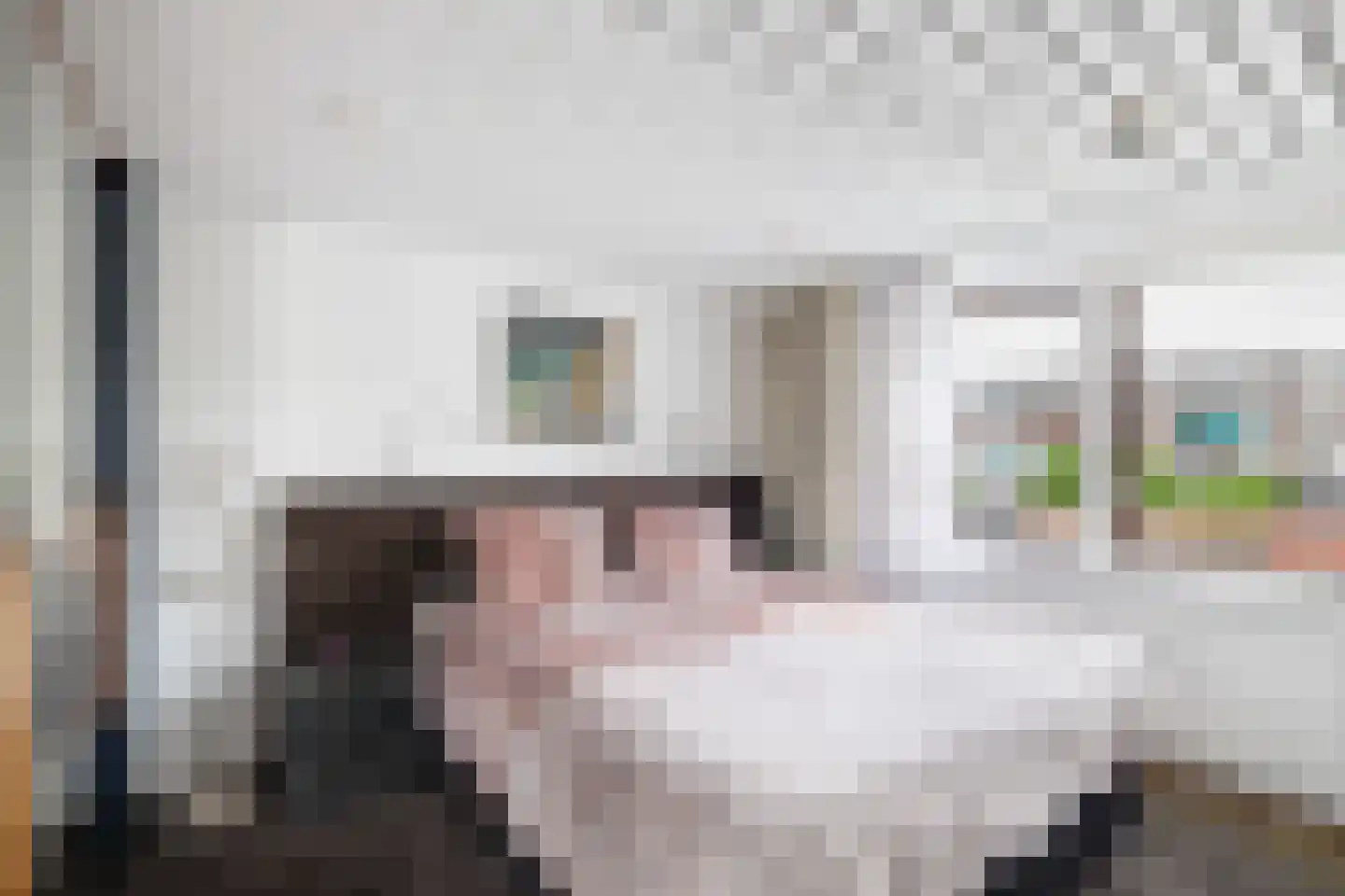 Karekietstraat 80 Gouda thumbnail 11