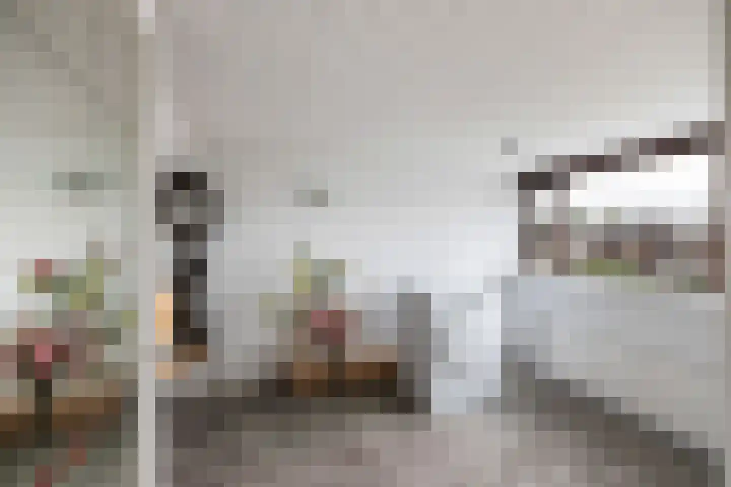 Karekietstraat 80 Gouda thumbnail 18