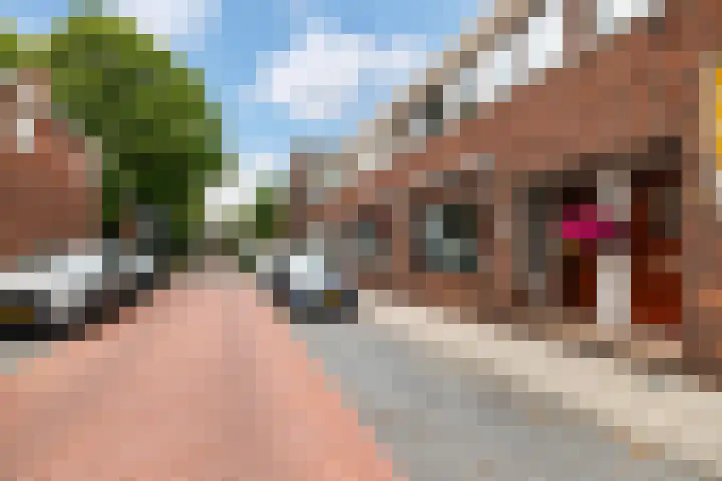Karekietstraat 80 Gouda thumbnail 25