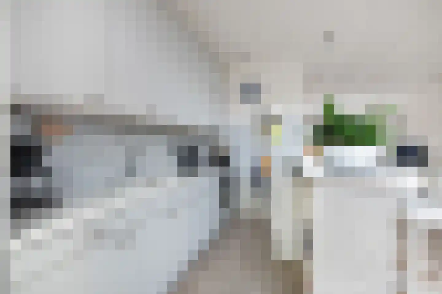 Karekietstraat 80 Gouda thumbnail 9