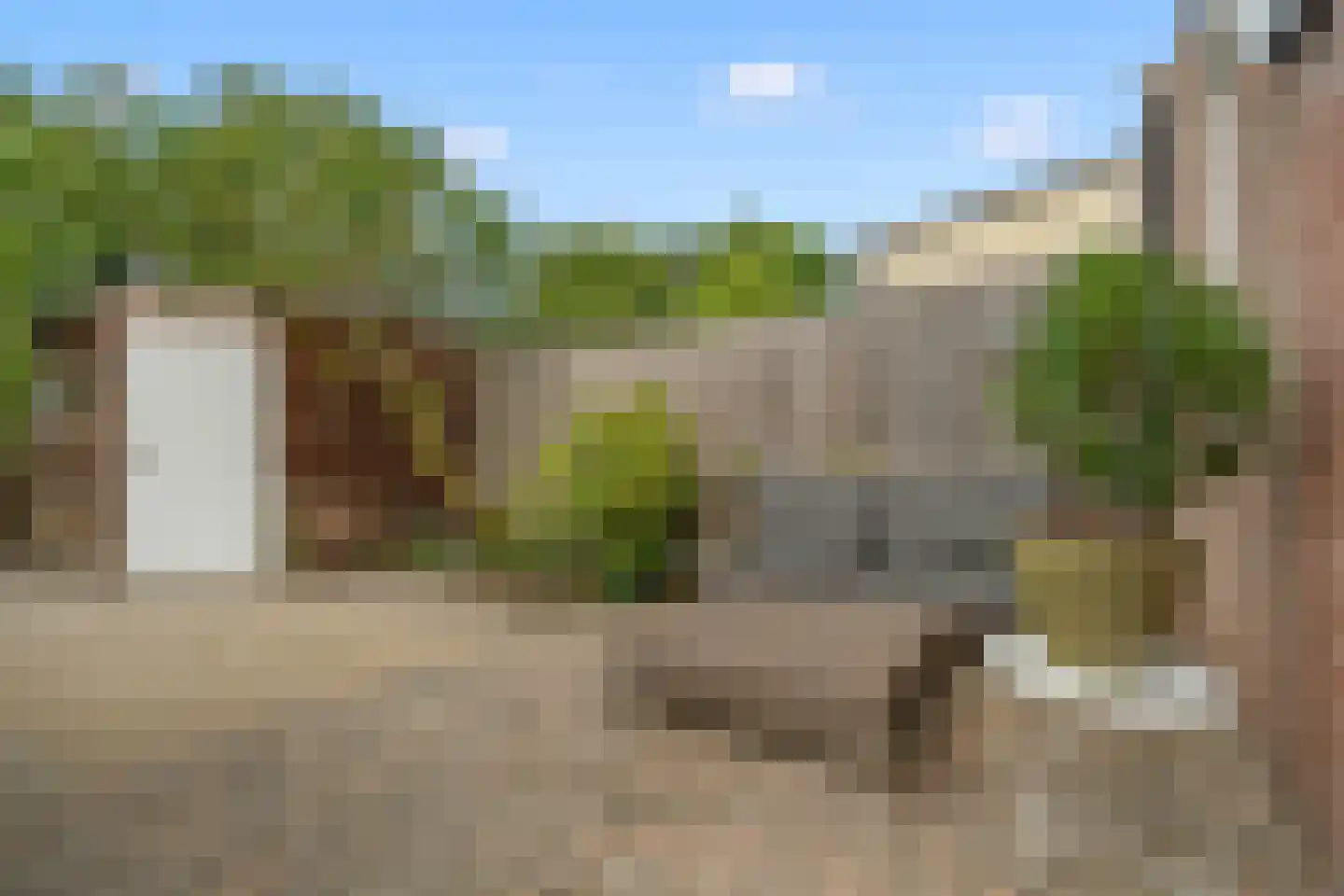Karekietweide 9 Houten thumbnail 15