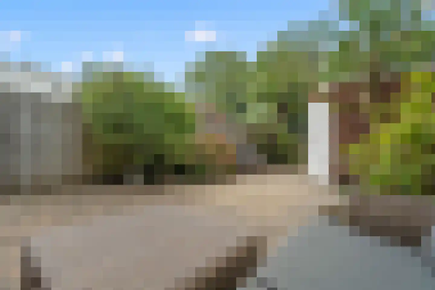 Karekietweide 9 Houten thumbnail 16