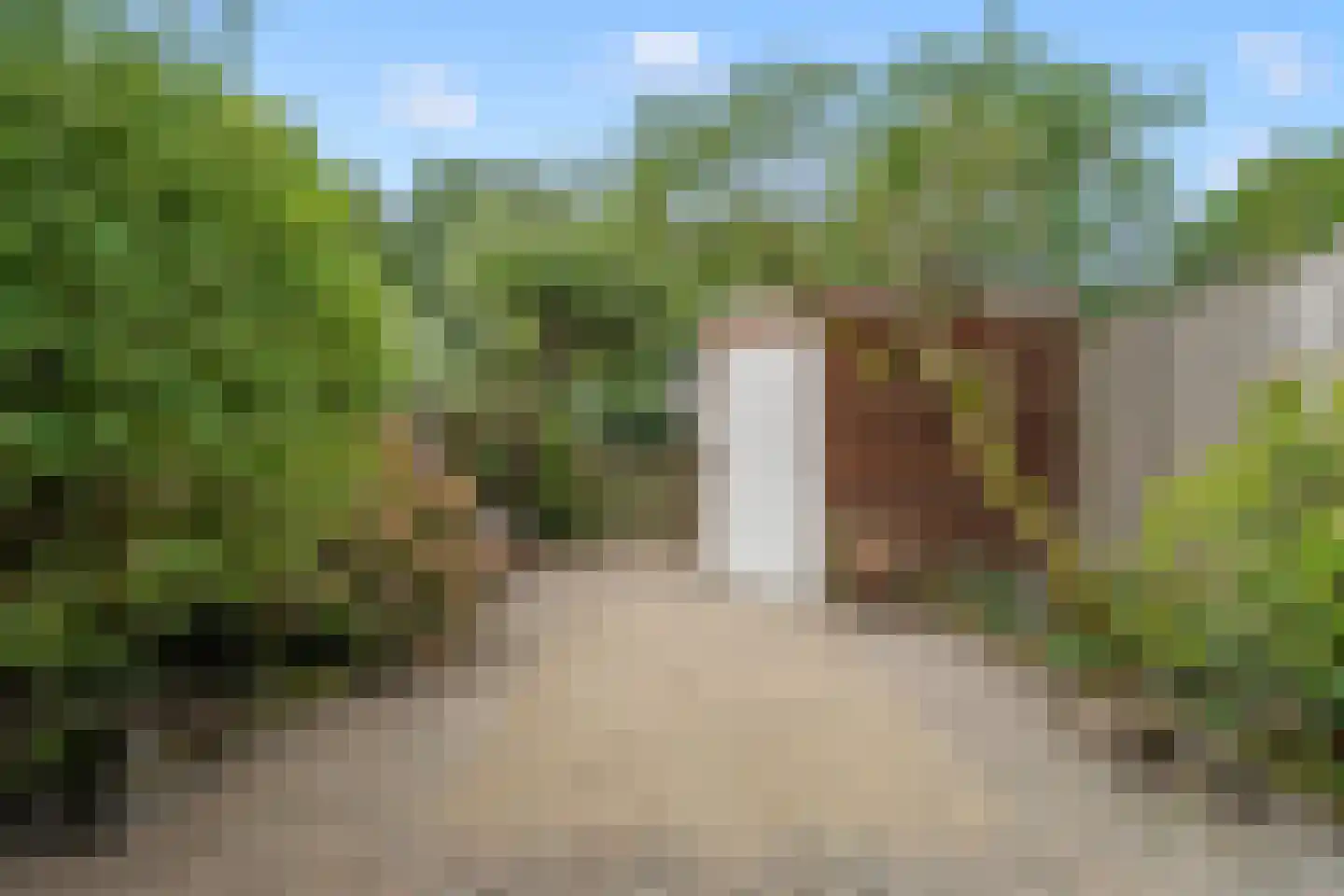 Karekietweide 9 Houten thumbnail 17
