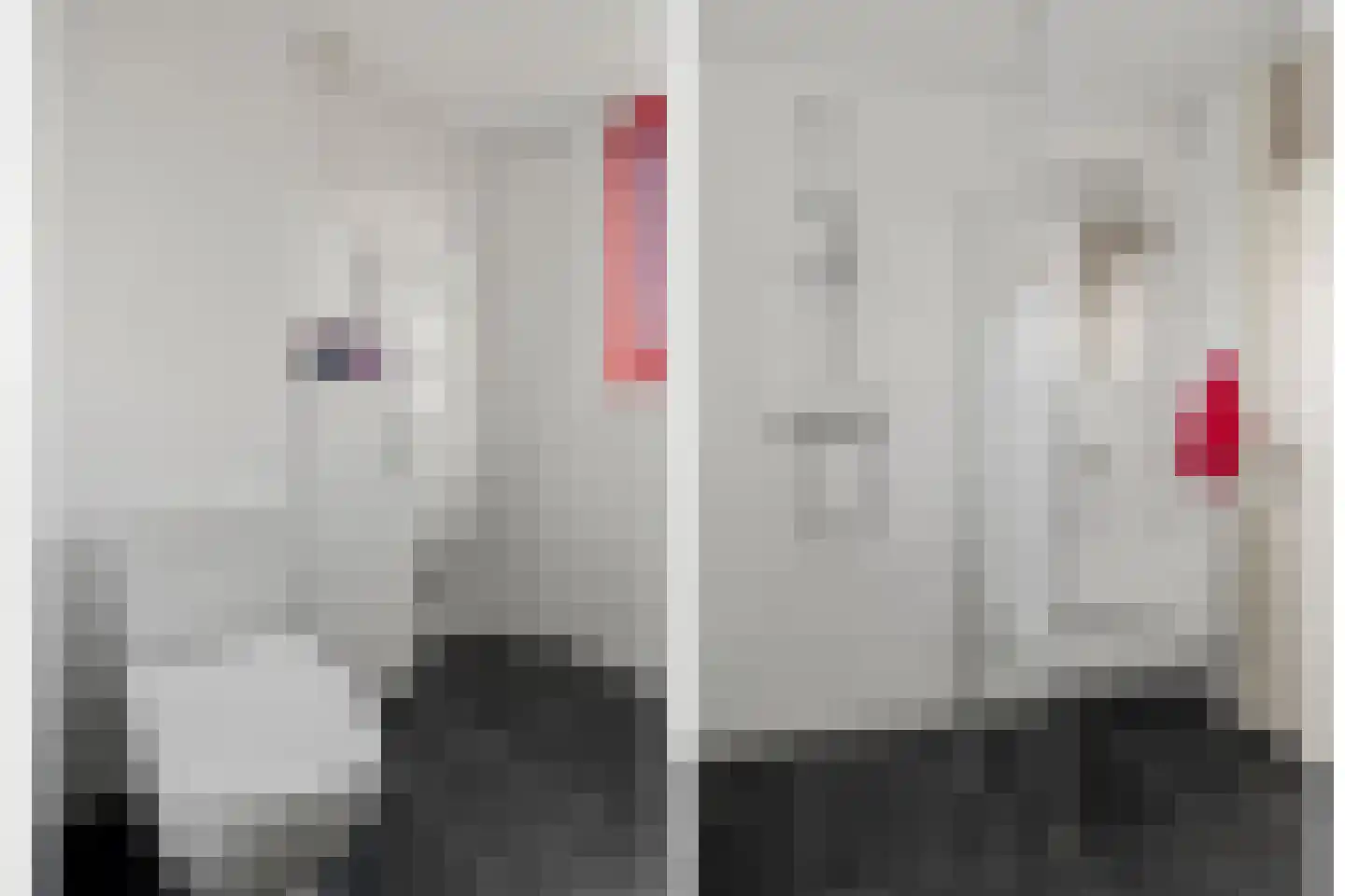 Karekietweide 9 Houten thumbnail 29
