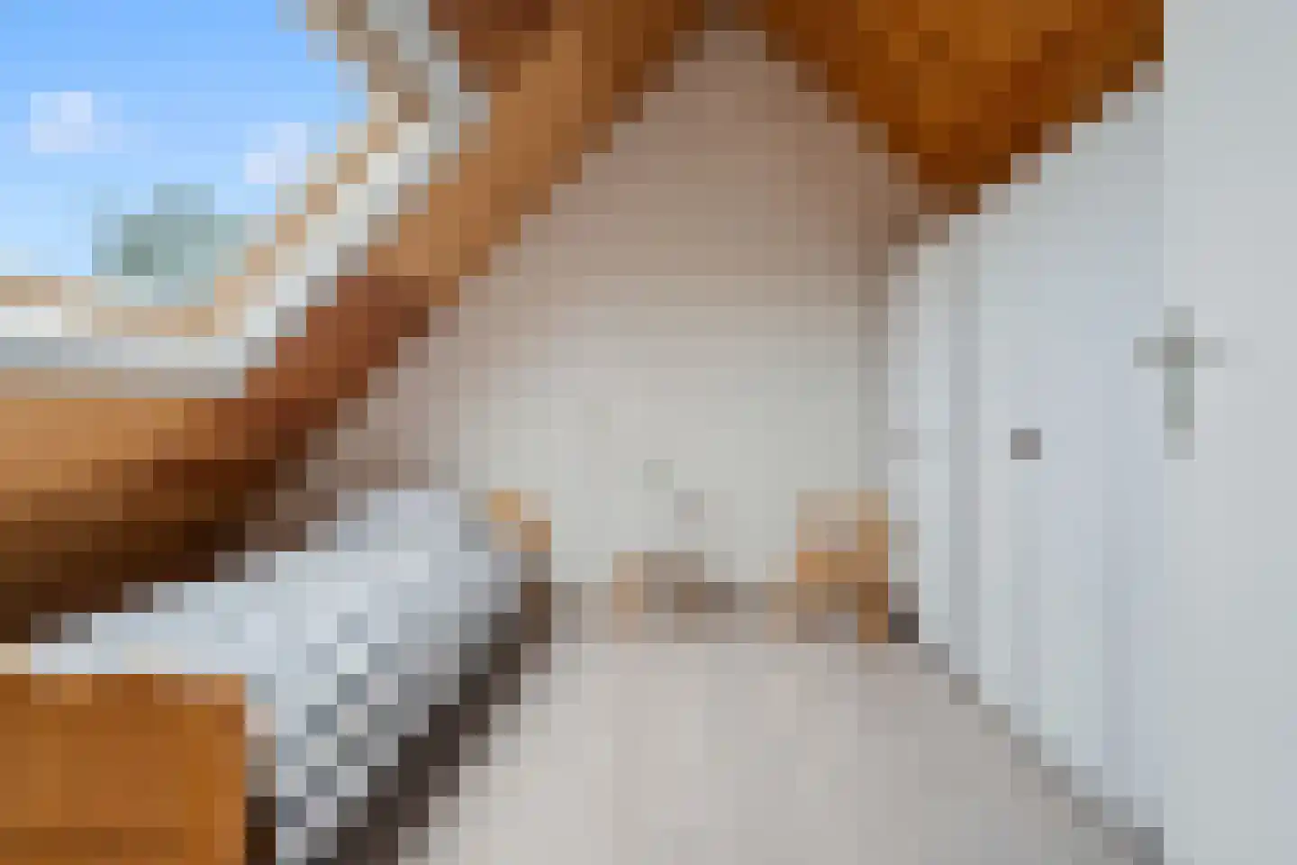 Karekietweide 9 Houten thumbnail 30