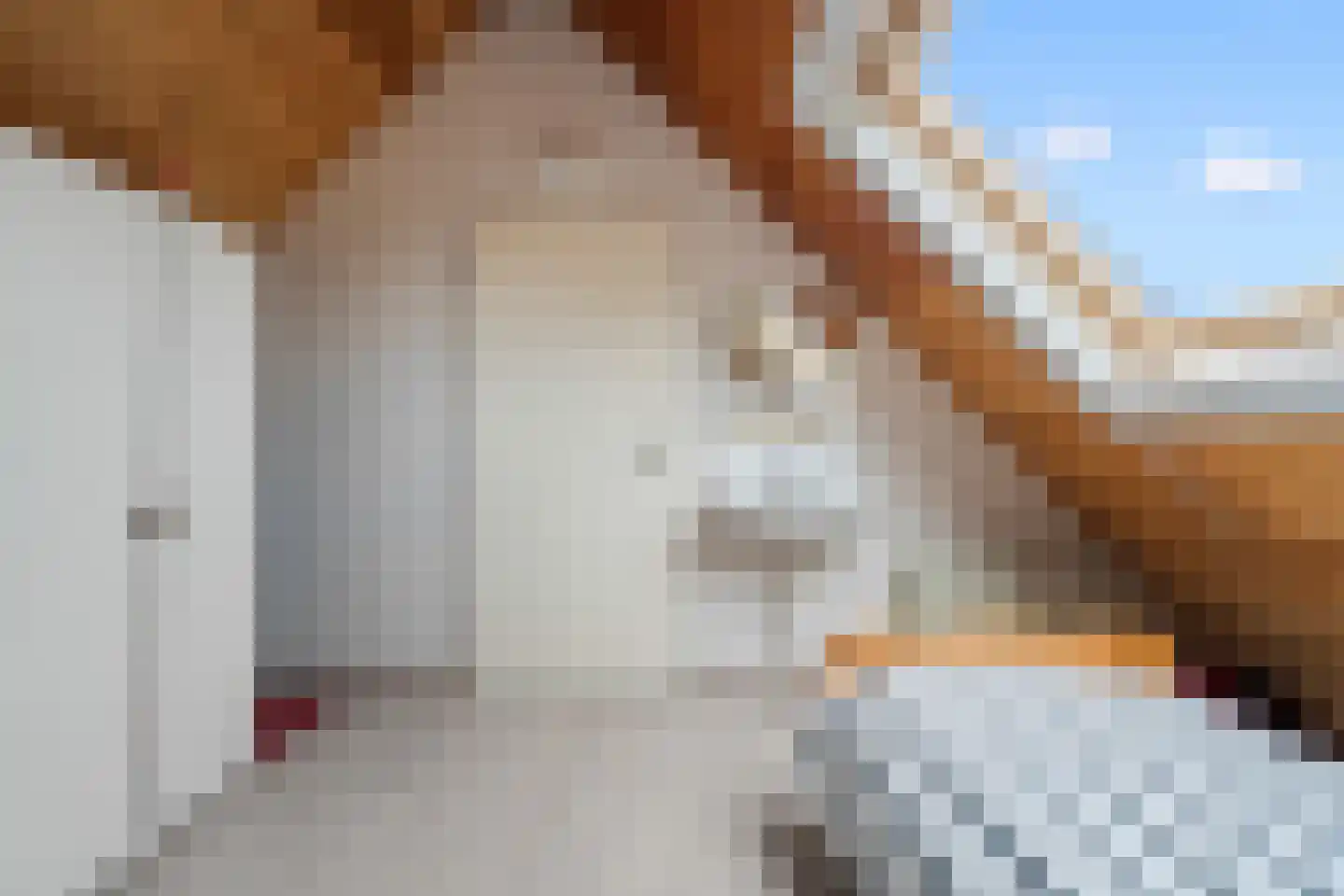 Karekietweide 9 Houten thumbnail 31