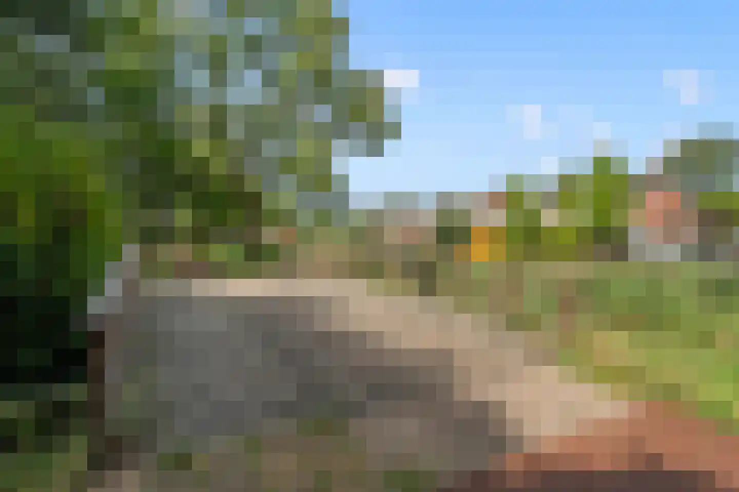 Karekietweide 9 Houten thumbnail 34