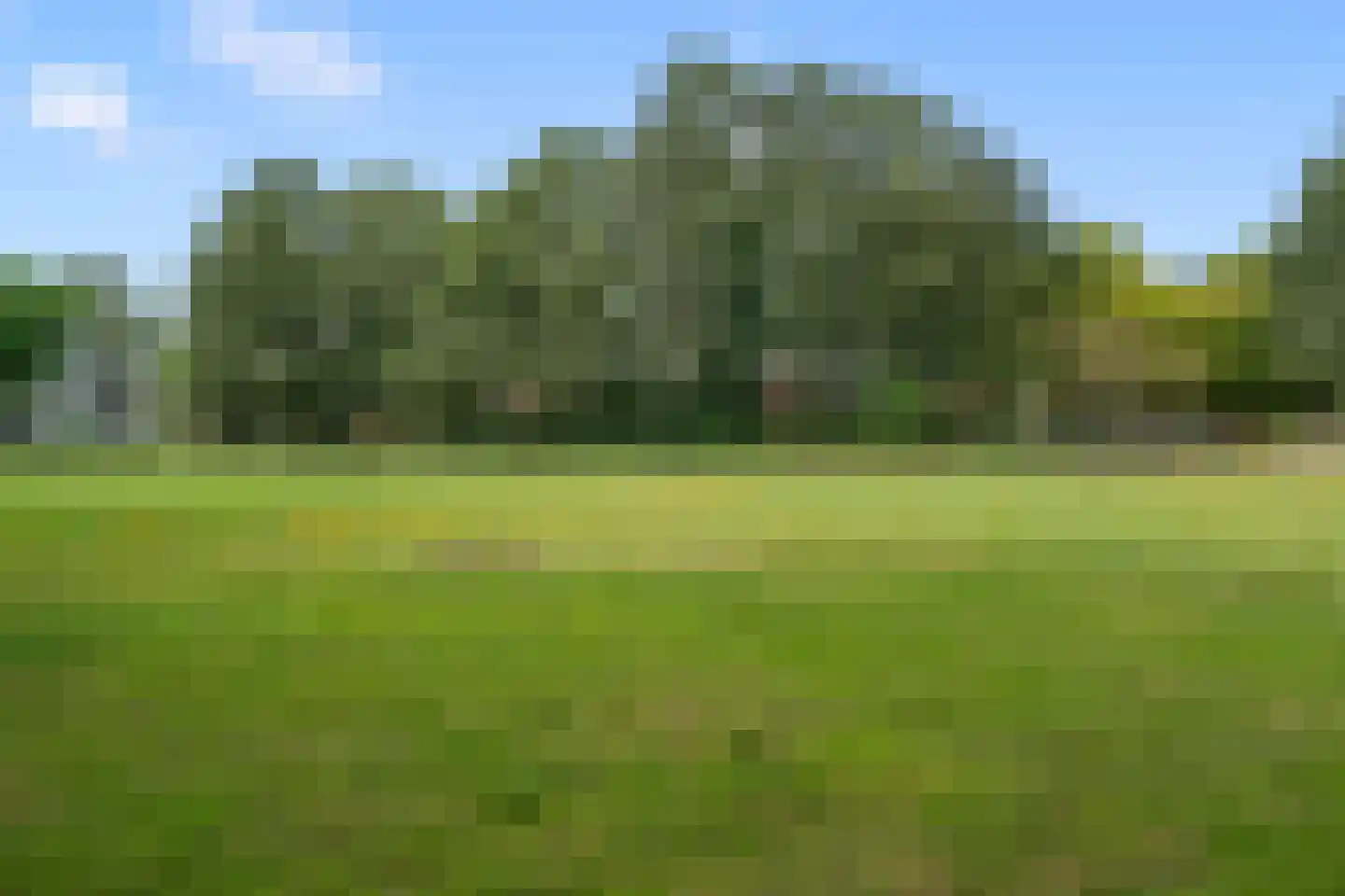 Karekietweide 9 Houten thumbnail 37
