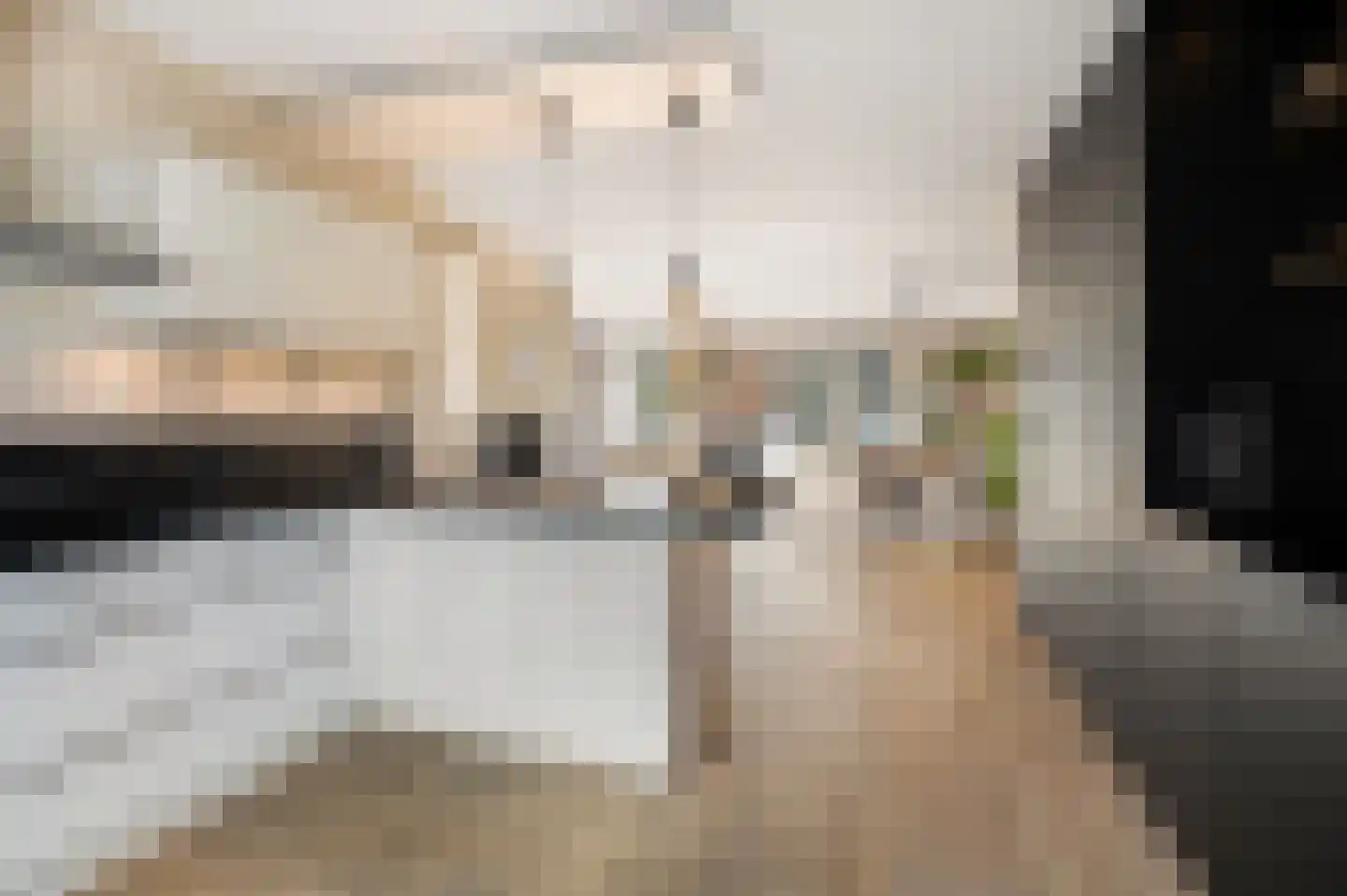 Karel Appellaan 13 Rhoon thumbnail 26