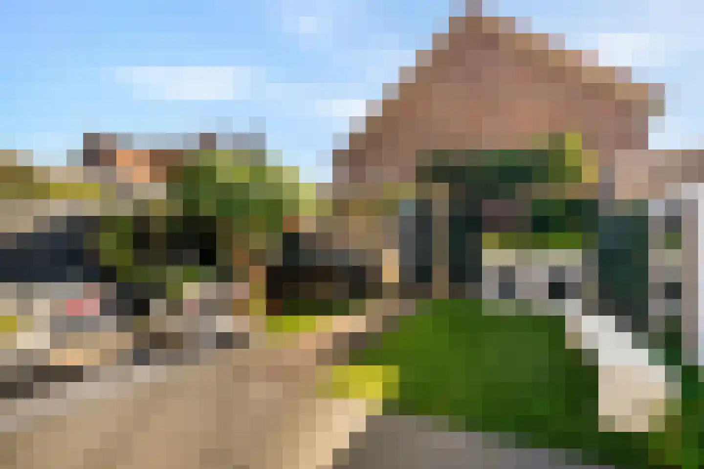 Karel Appellaan 13 Rhoon thumbnail 5