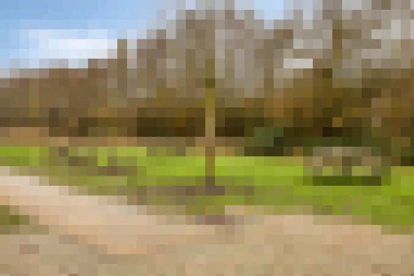 Karel Appellaan 51 Rhoon thumbnail 44