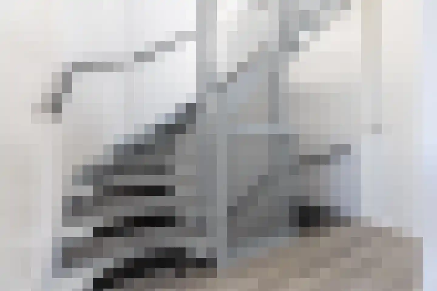 Karel Appelstraat 10 Dronten thumbnail 22